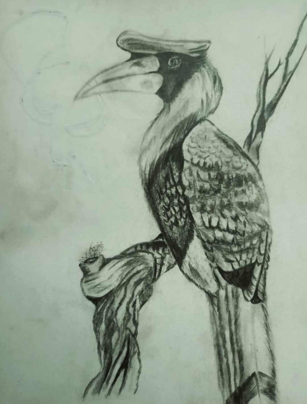 Haritha Vijayan creative work