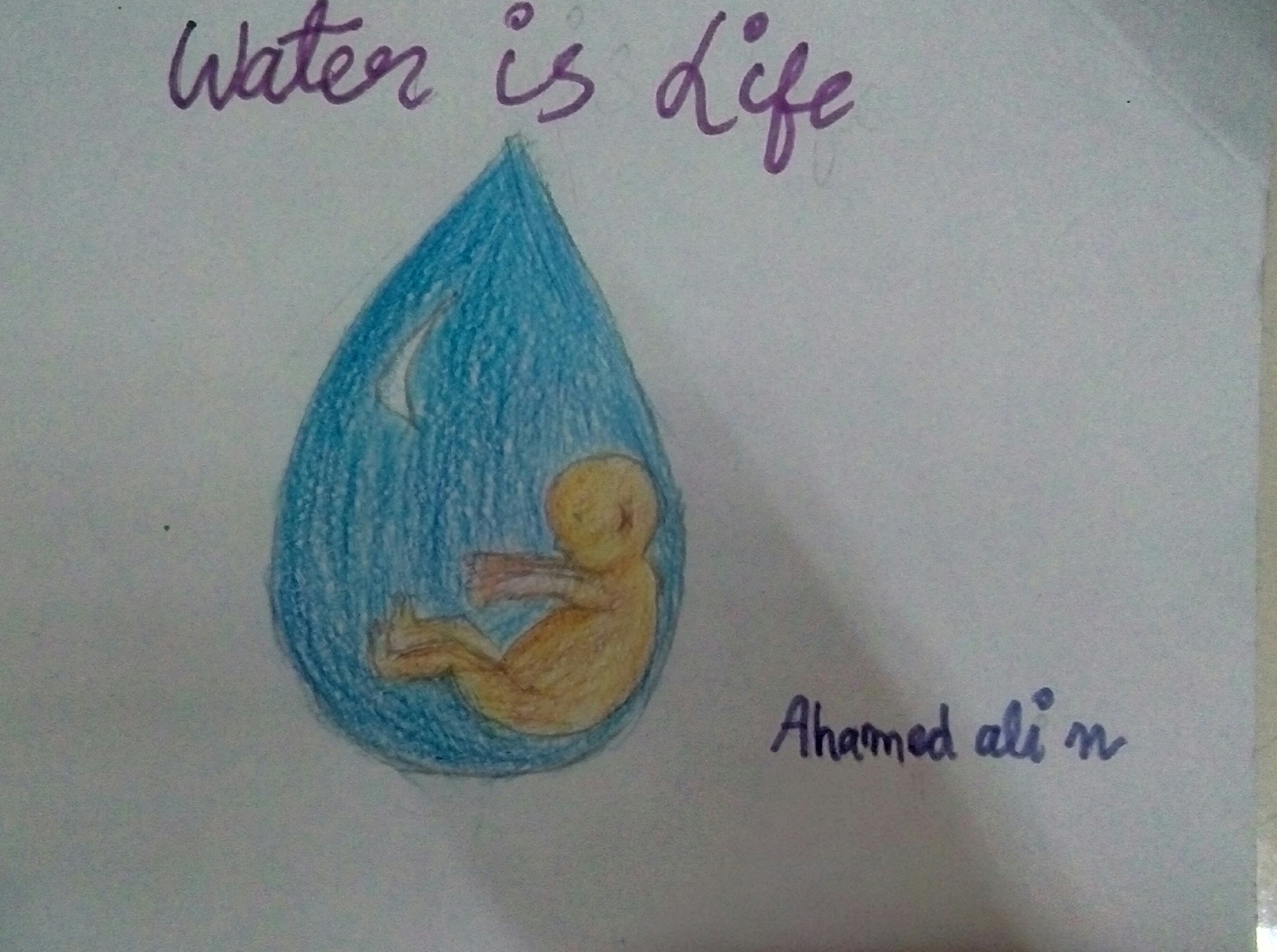 Ahamed Ali N creative work