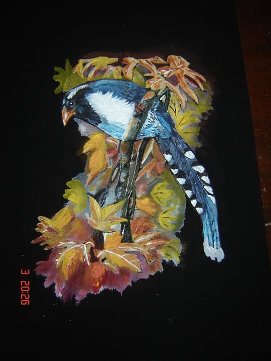 Jyotzna Lakshmy creative work