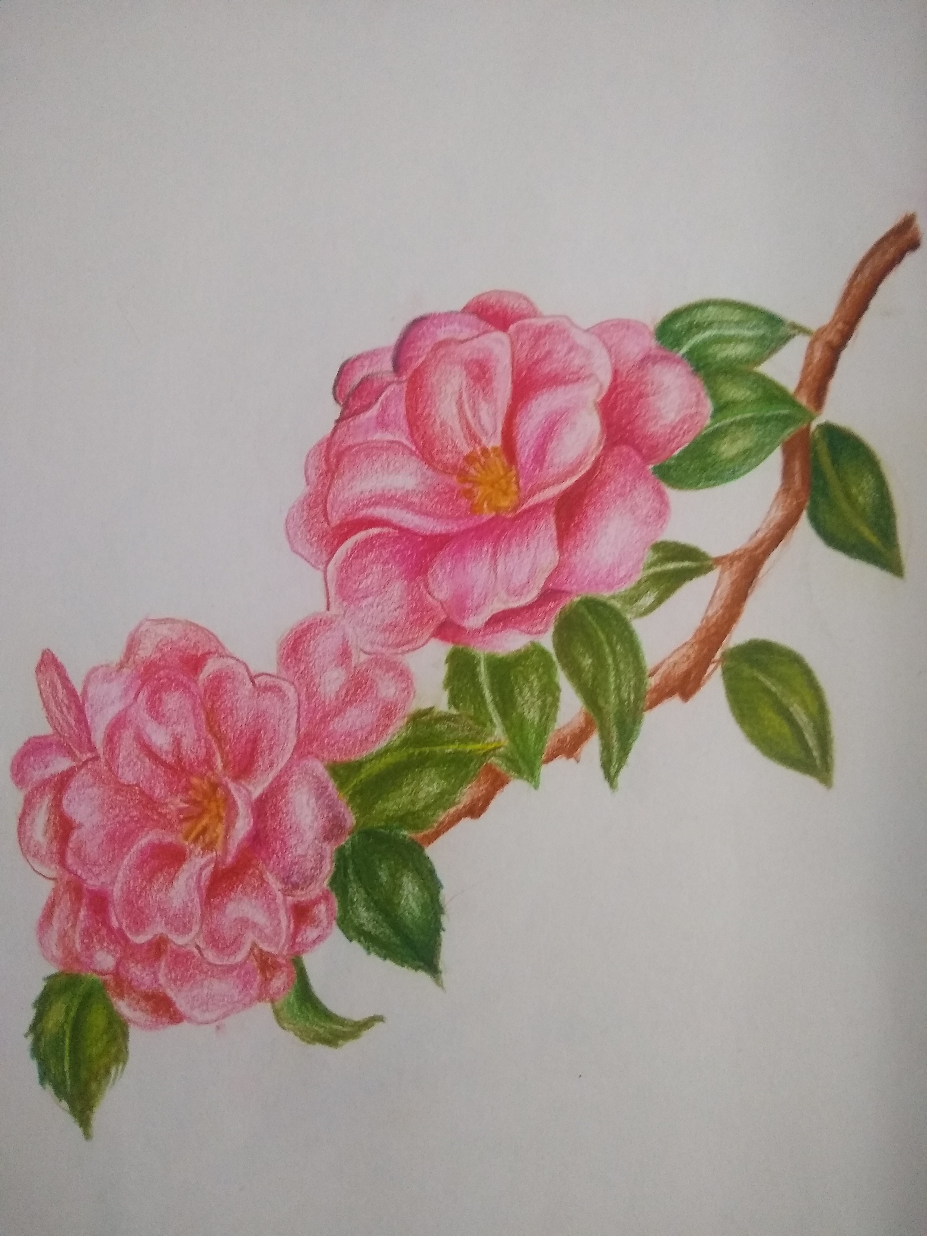 Saba Naaz creative work