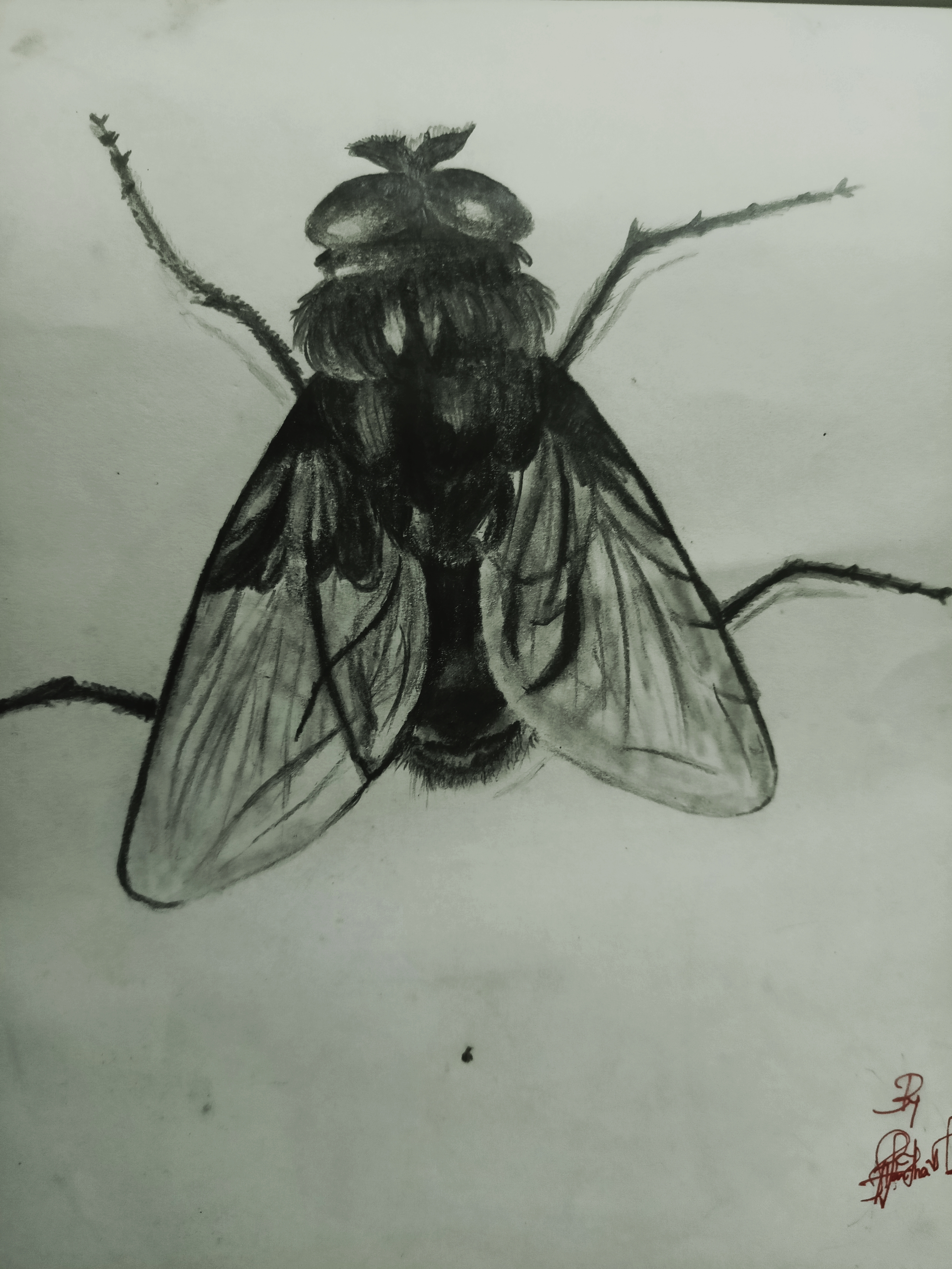 Haritha Vijayan creative work