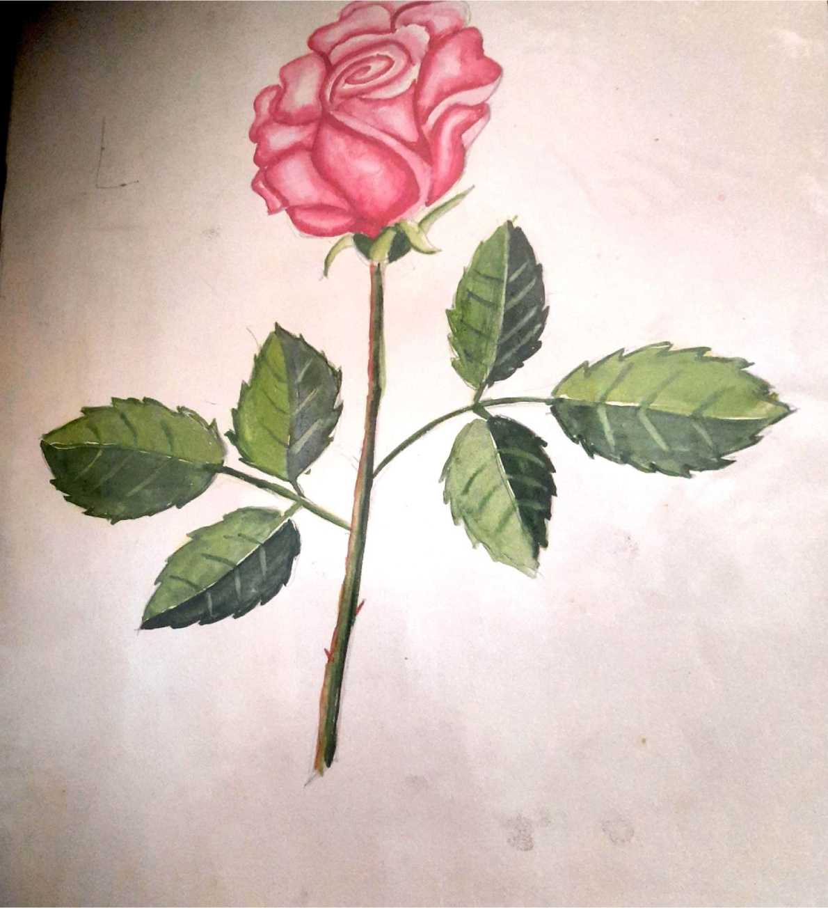 Dhruvi Khandwala creative work