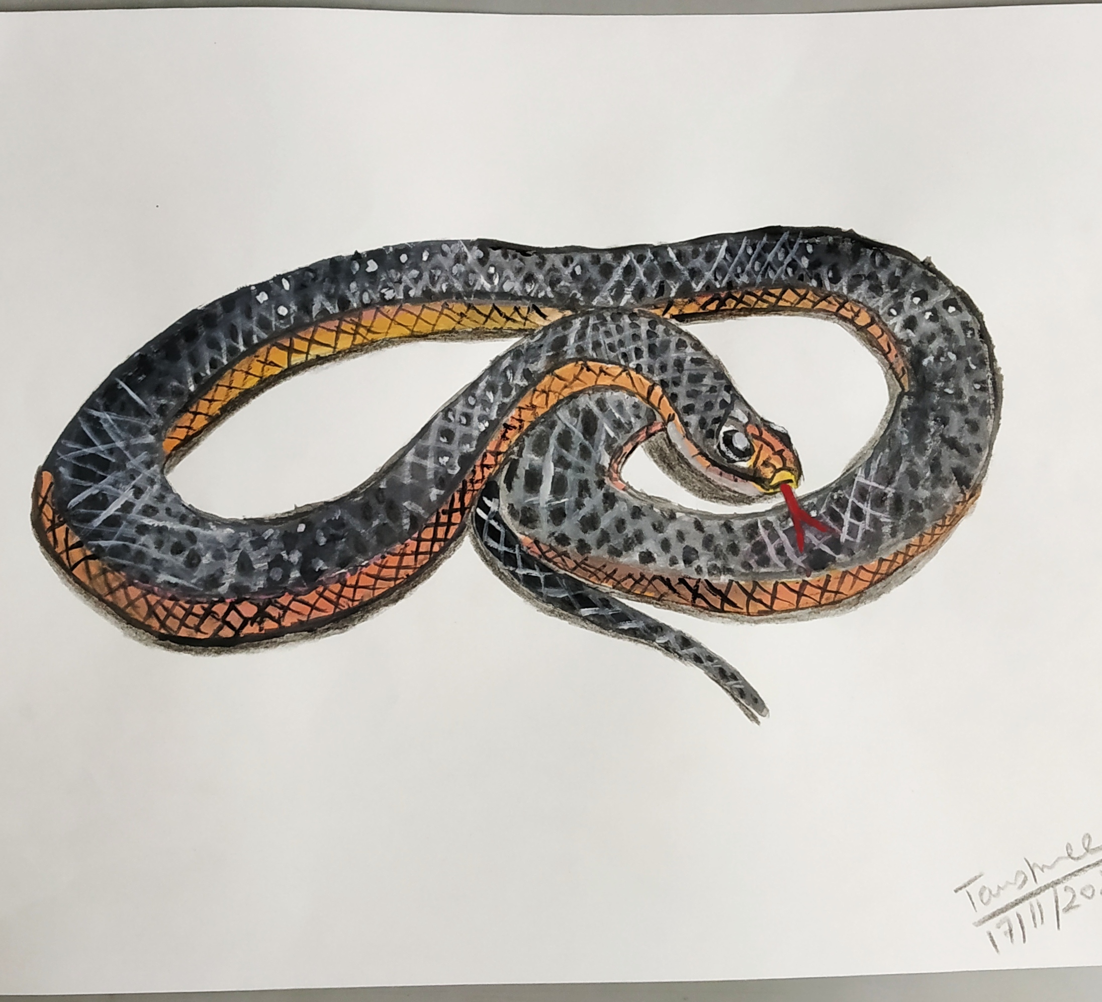 Tanushree Bhattacharya creative work