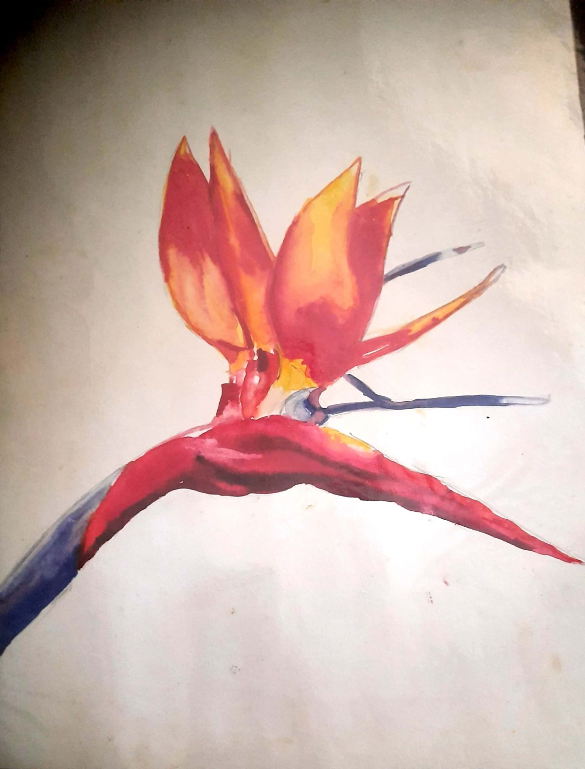 Dhruvi Khandwala creative work