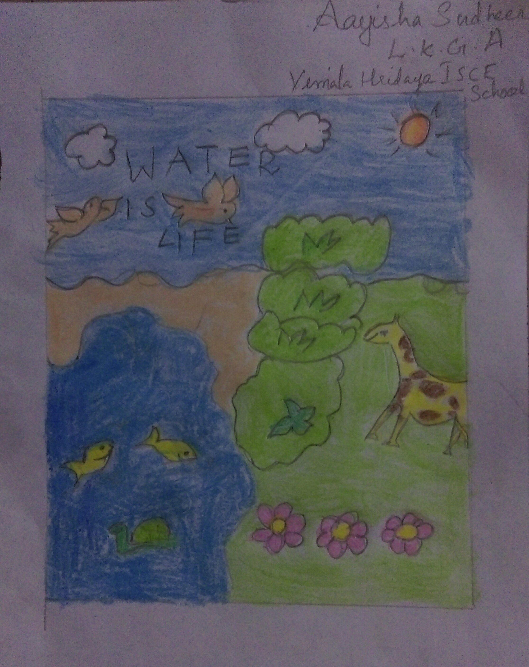 Aayisha Sudheer creative work