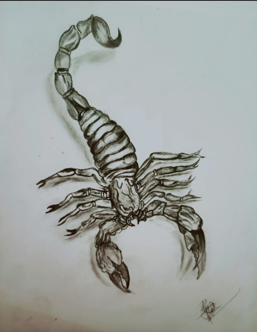 Haritha Vijayan creative work