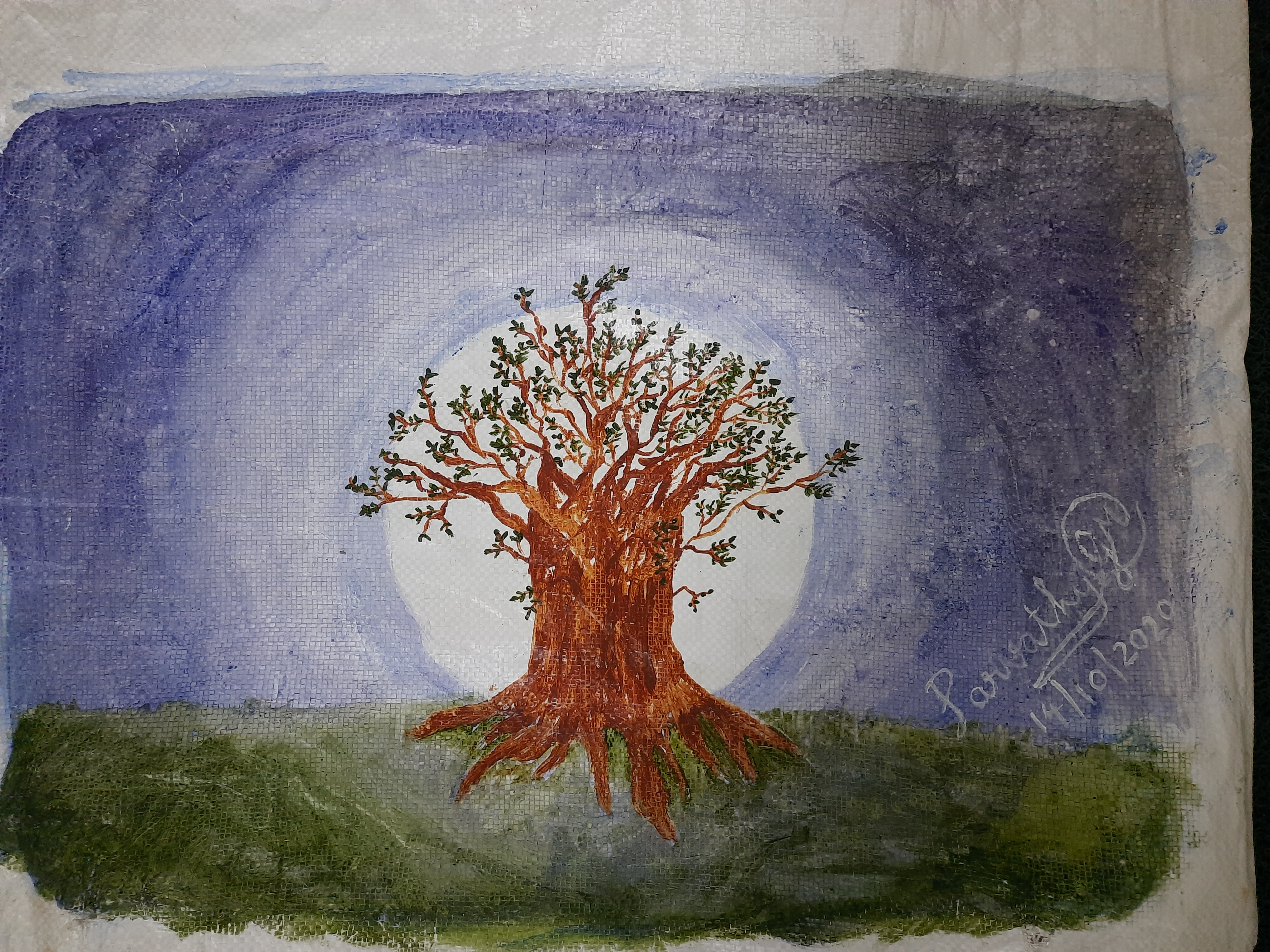 Parvathy G Mohan creative work