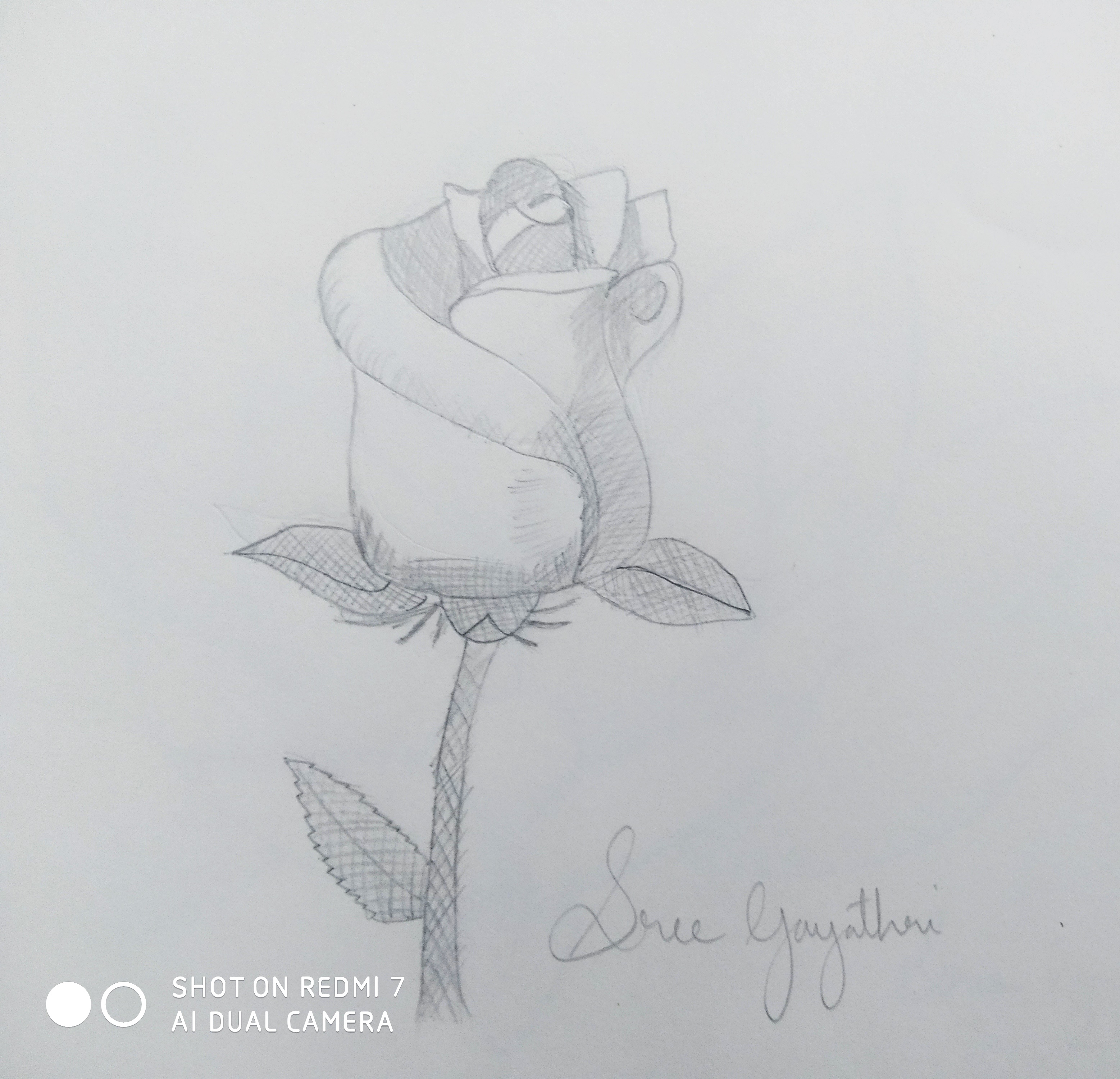 Sri Gayatri creative work