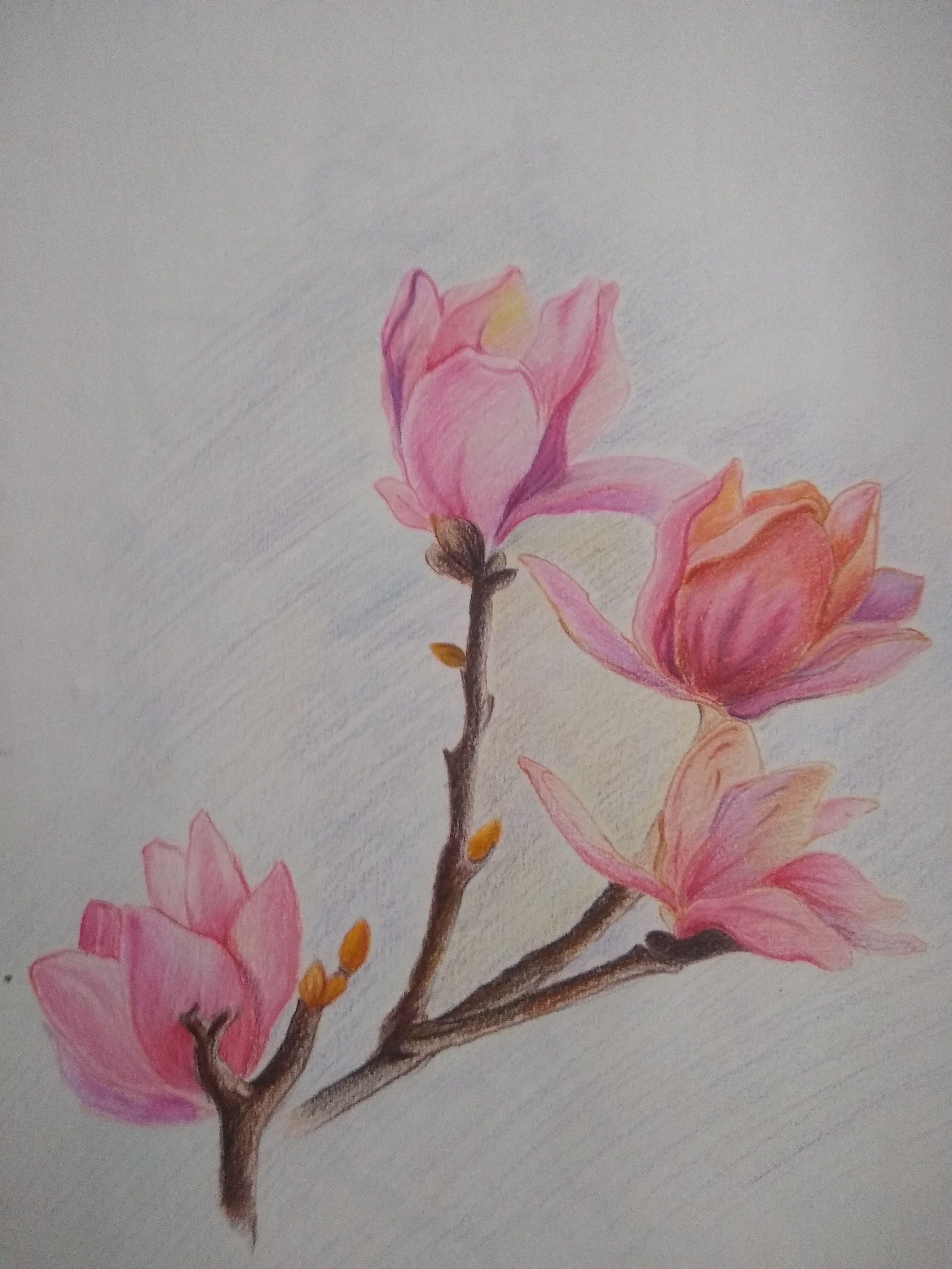Saba Naaz creative work