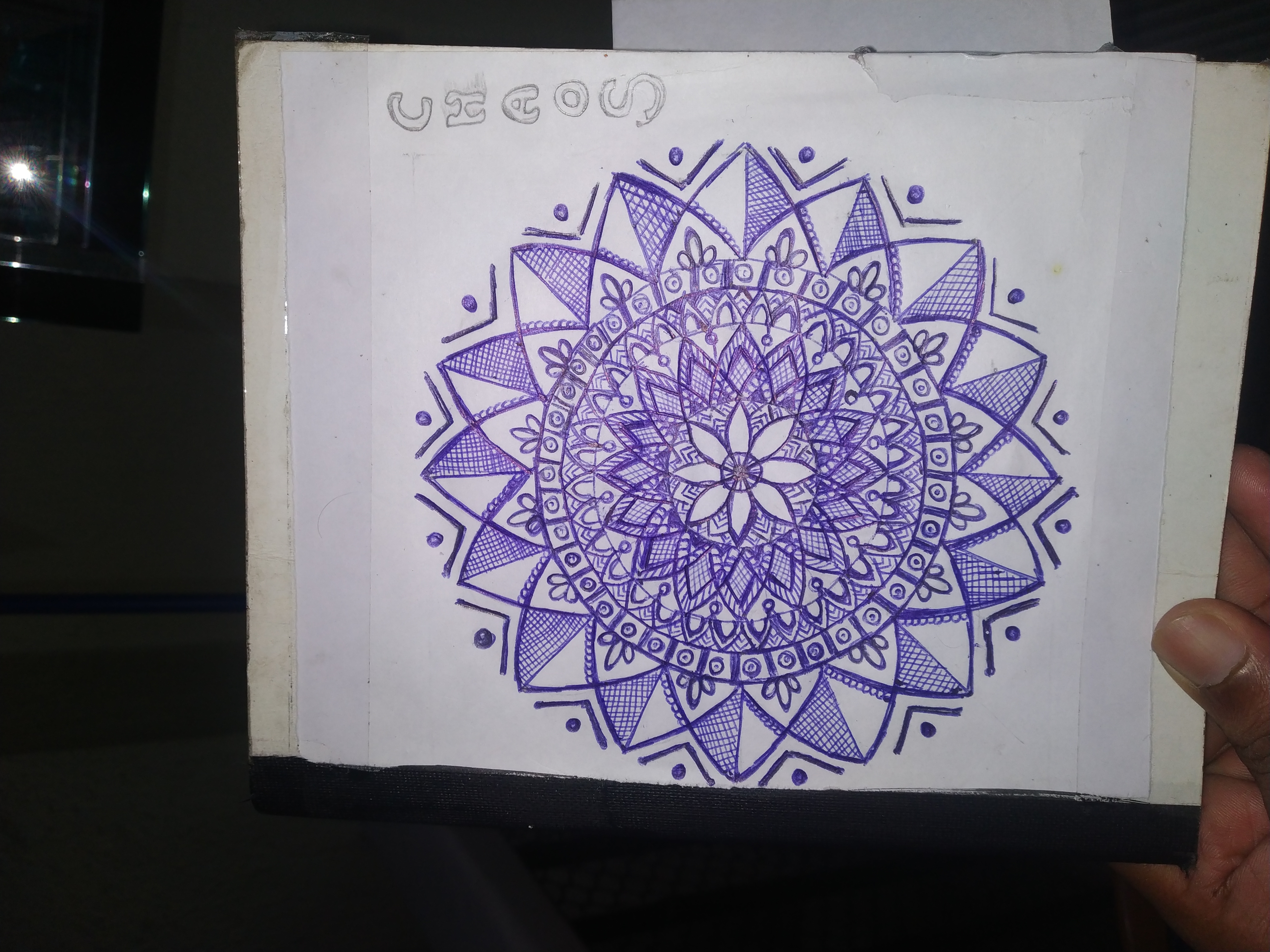 Nandu creative work