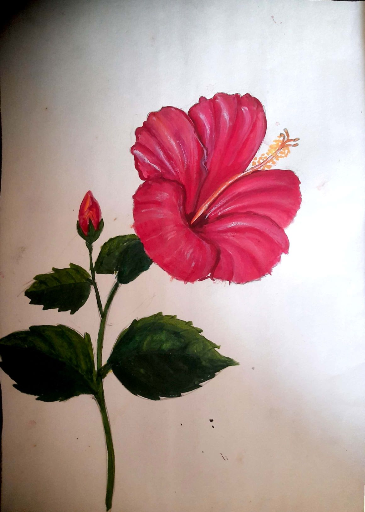 Dhruvi Khandwala creative work