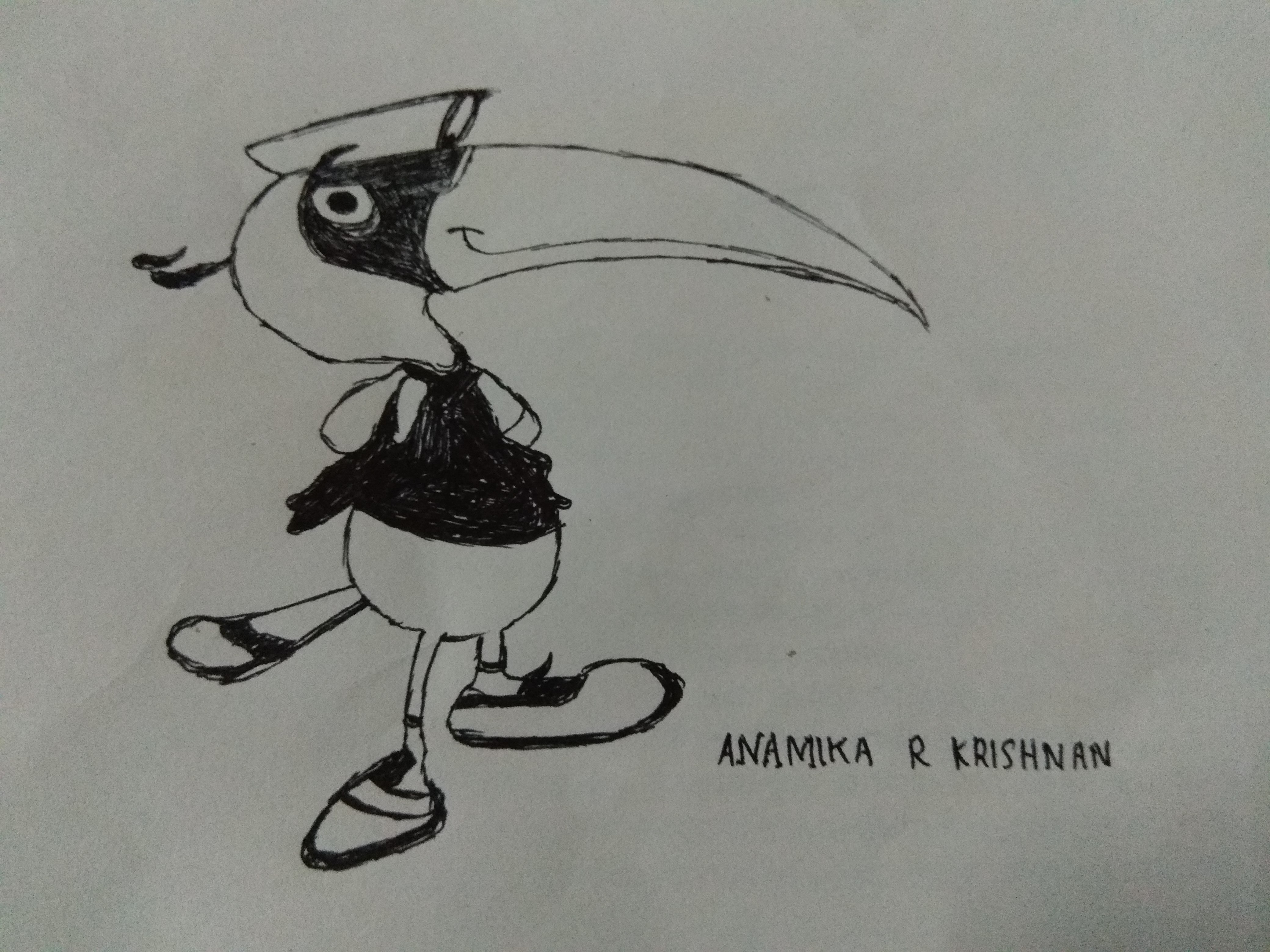 anamika r krishnan creative work