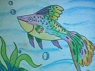 NANDANA A S creative work