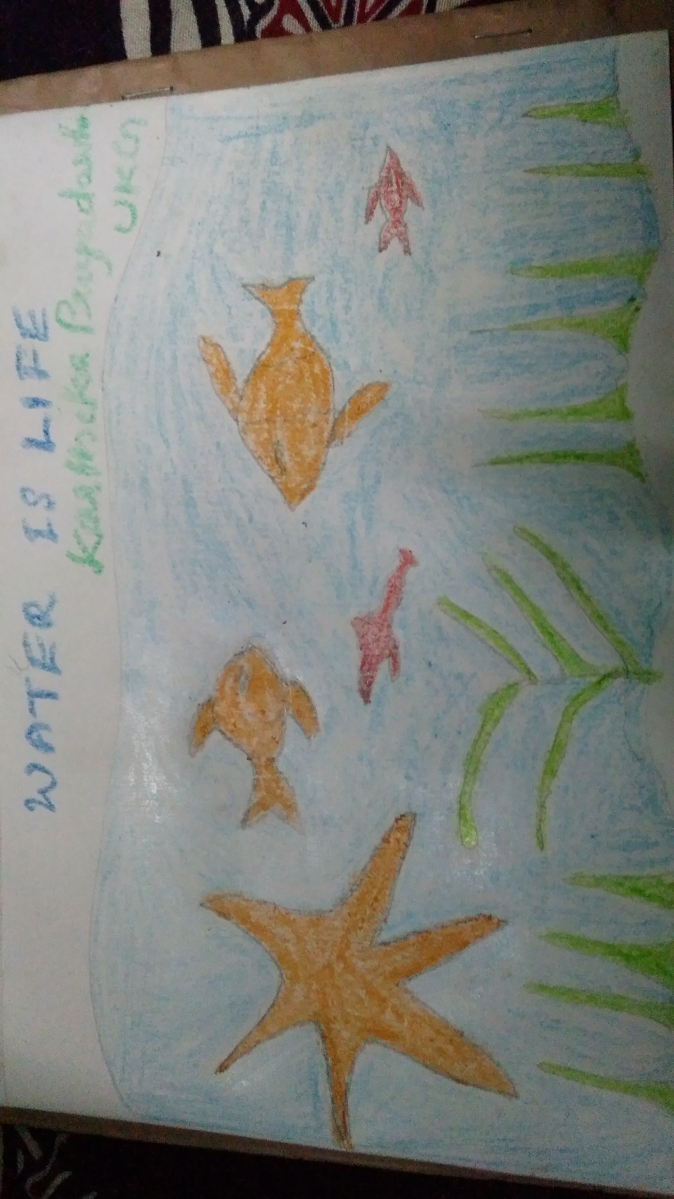 Karthika Priyadarshini creative work