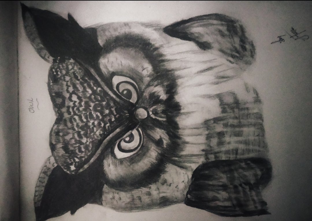 Haritha Vijayan creative work