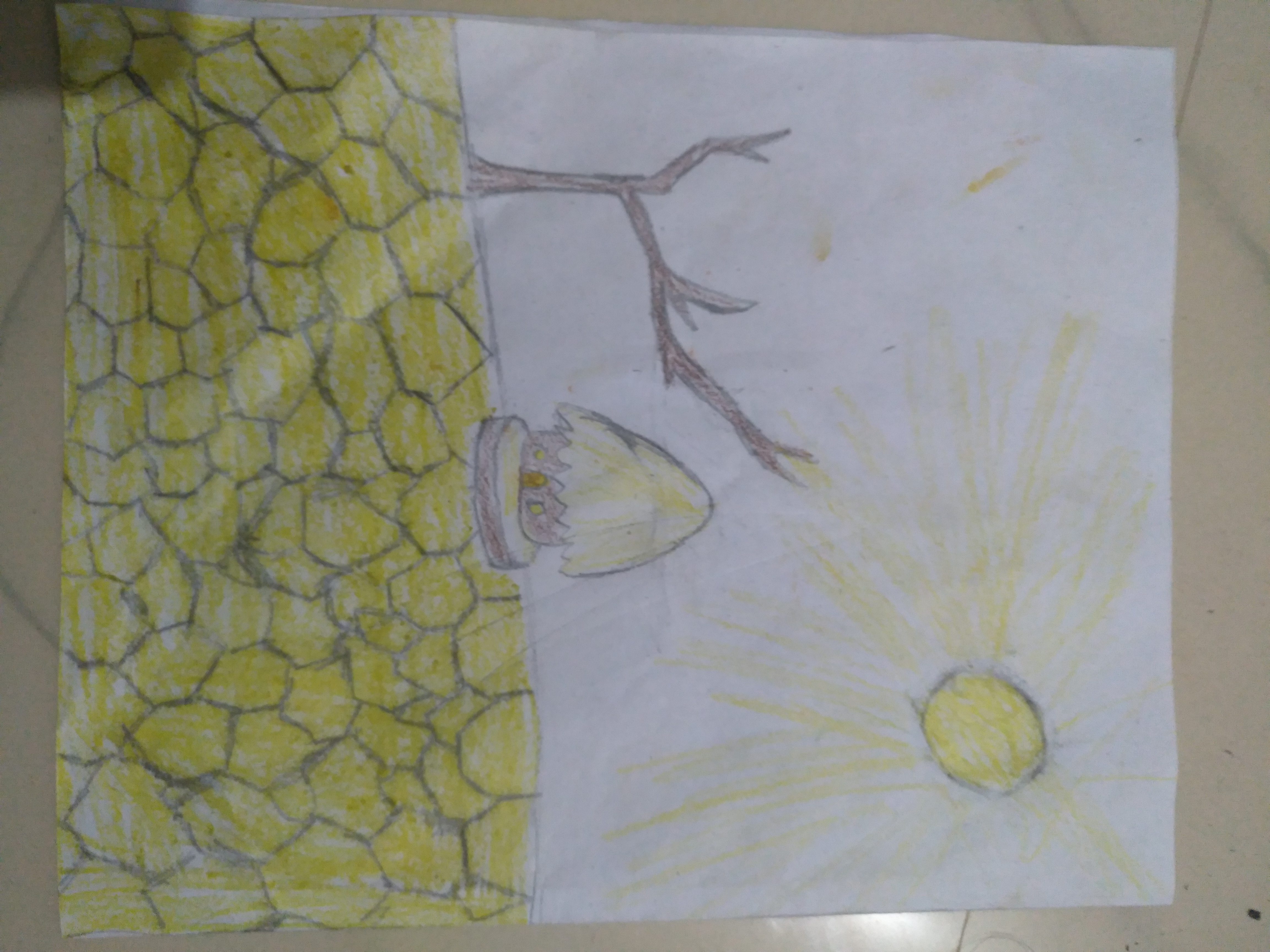 Sandeep Krishnan creative work