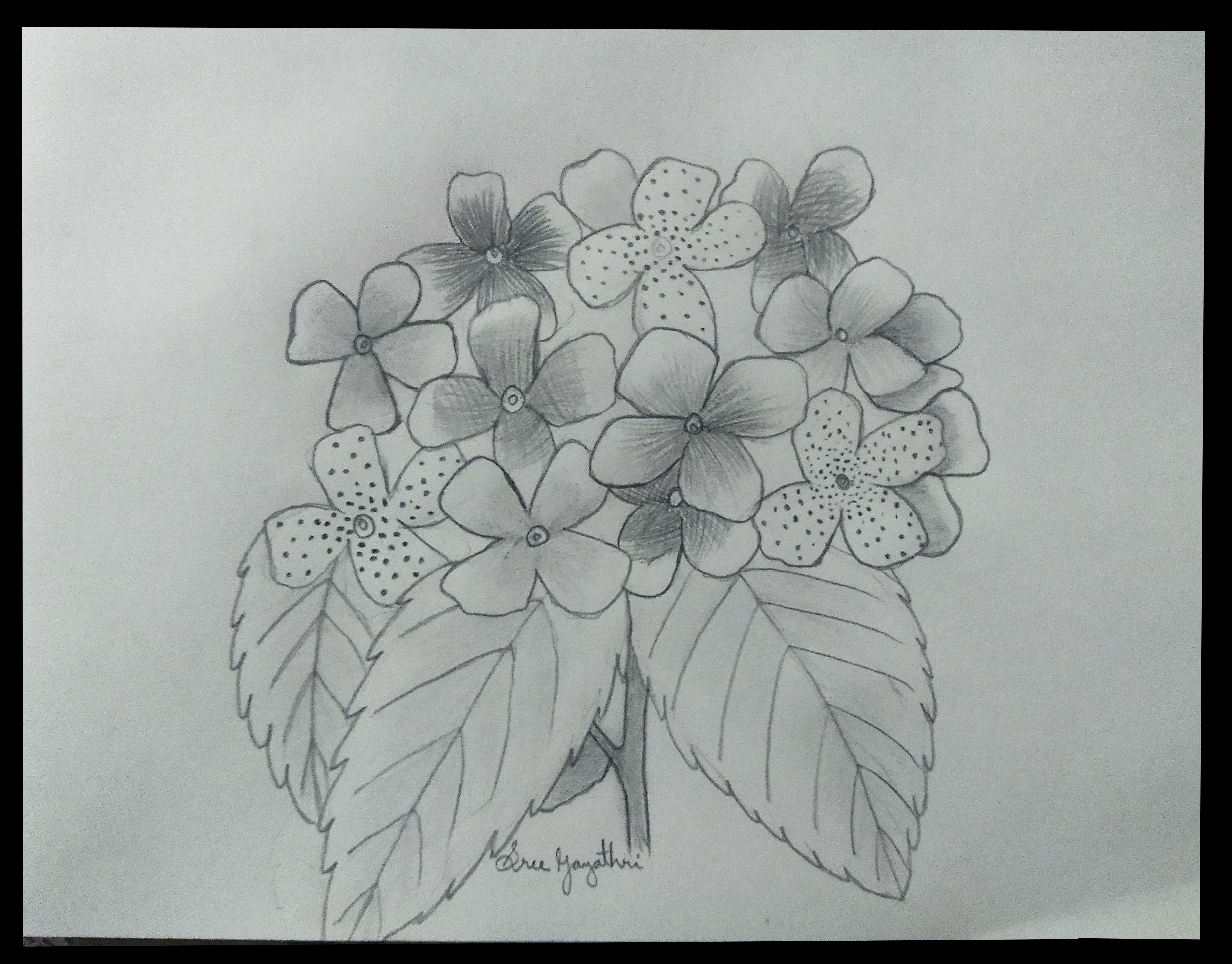 Sri Gayatri creative work
