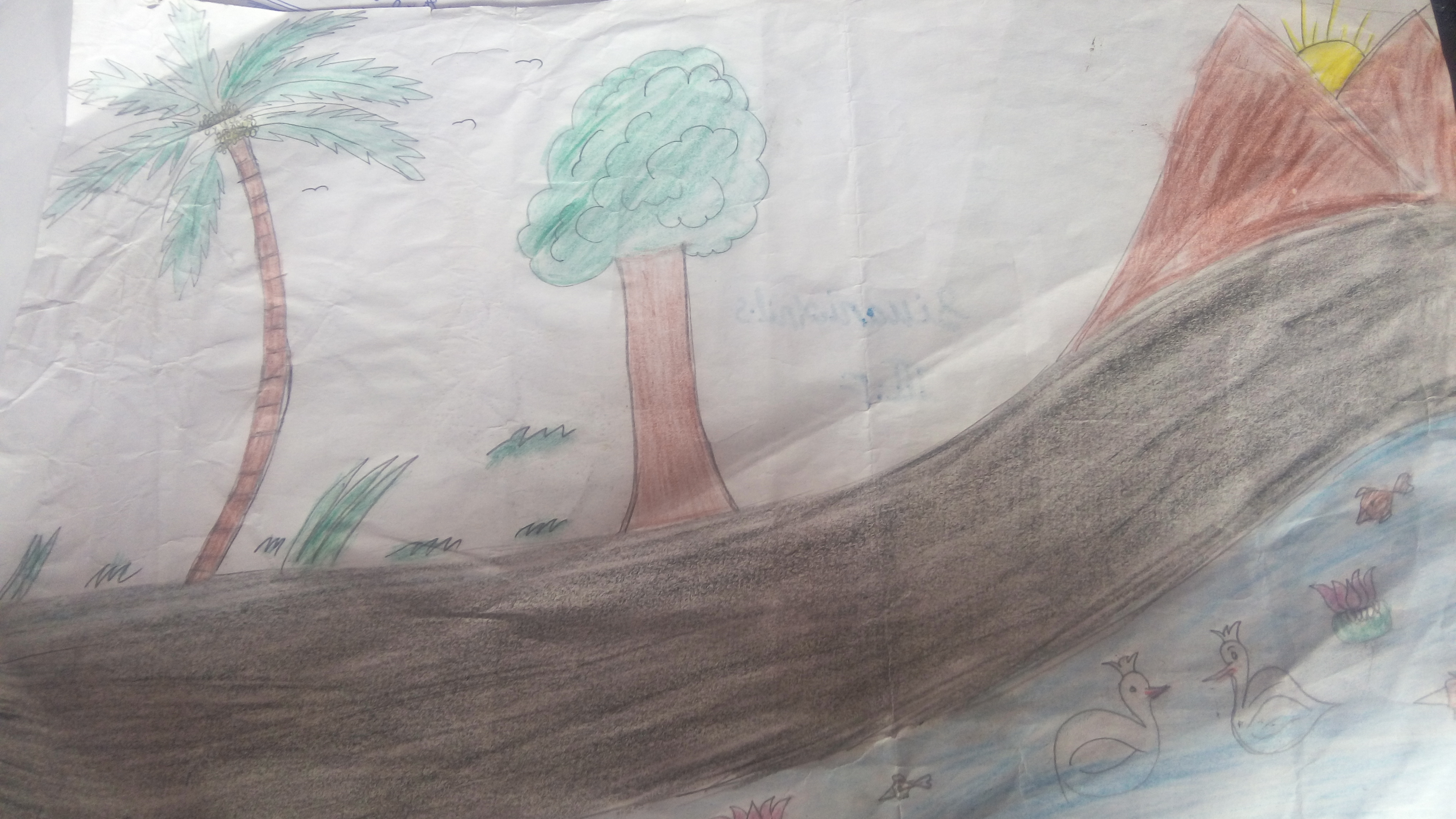 SIVANI ANIL S creative work