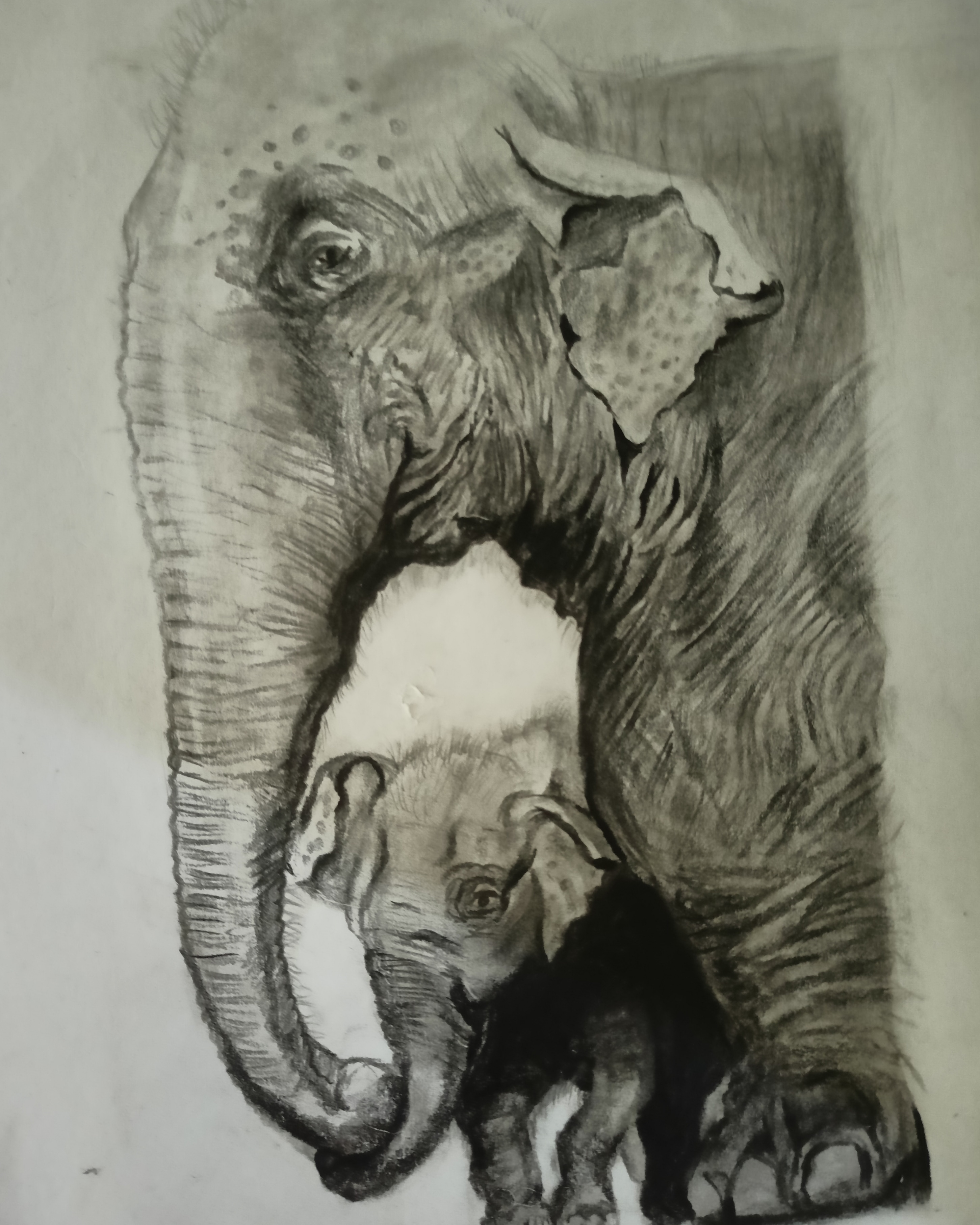 Haritha Vijayan creative work